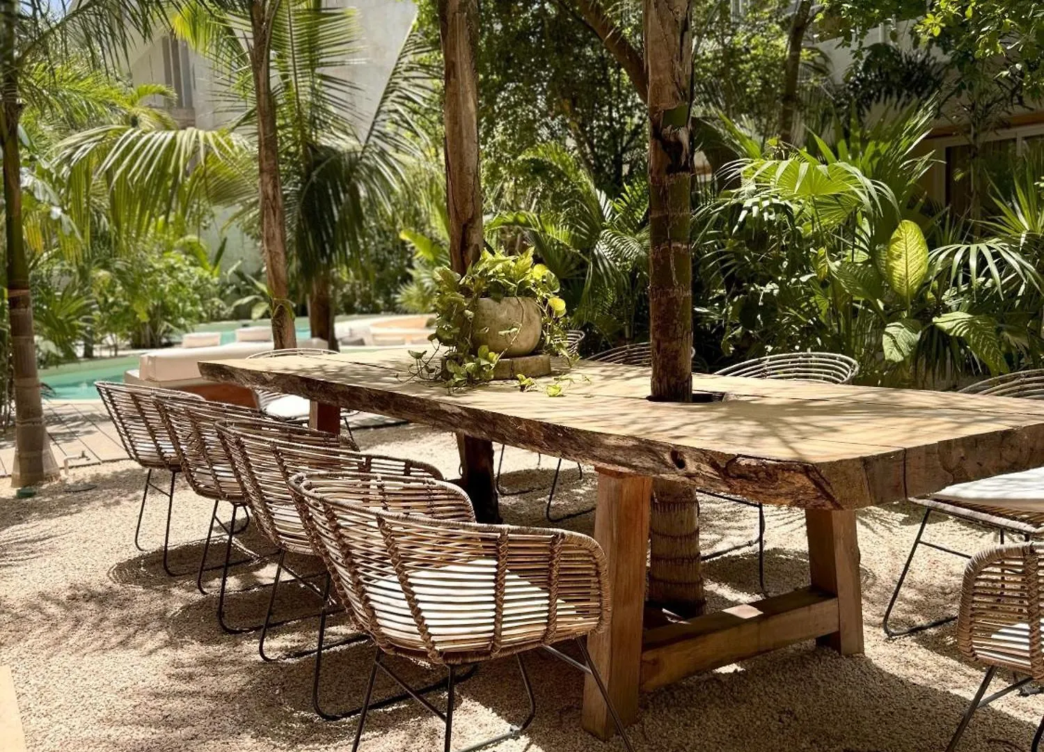 Jungle Chic Suites By Marea تولوم 0*,  المكسيك